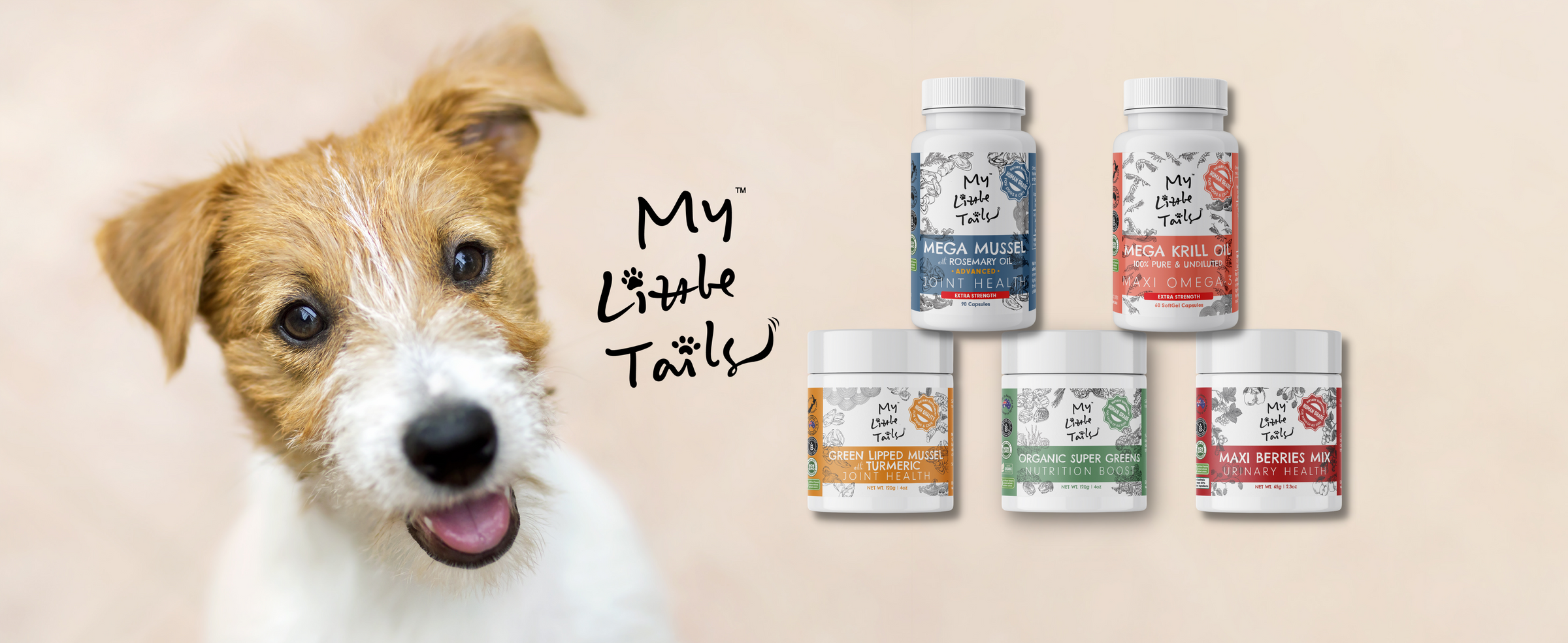 Bundles & Best Value