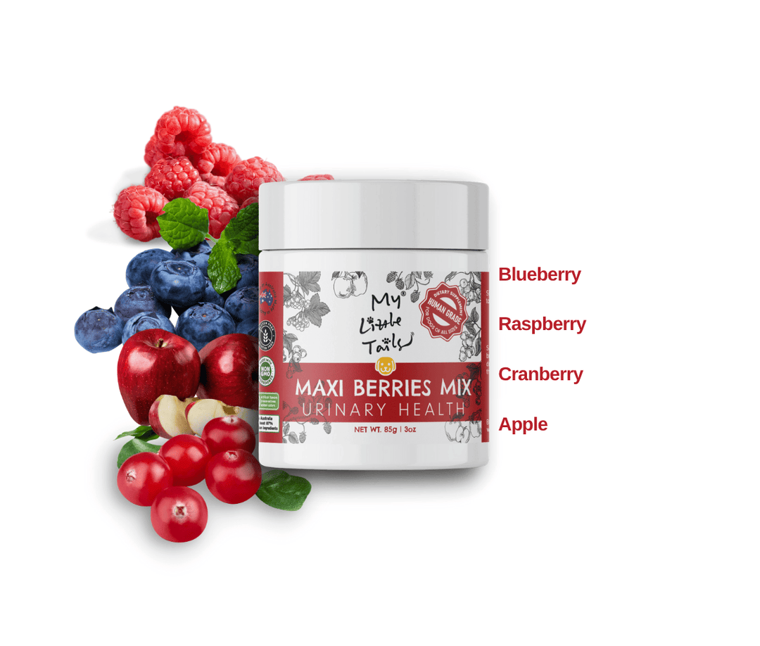 Maxi Berries Mix by My Little Tails with berries on a white background