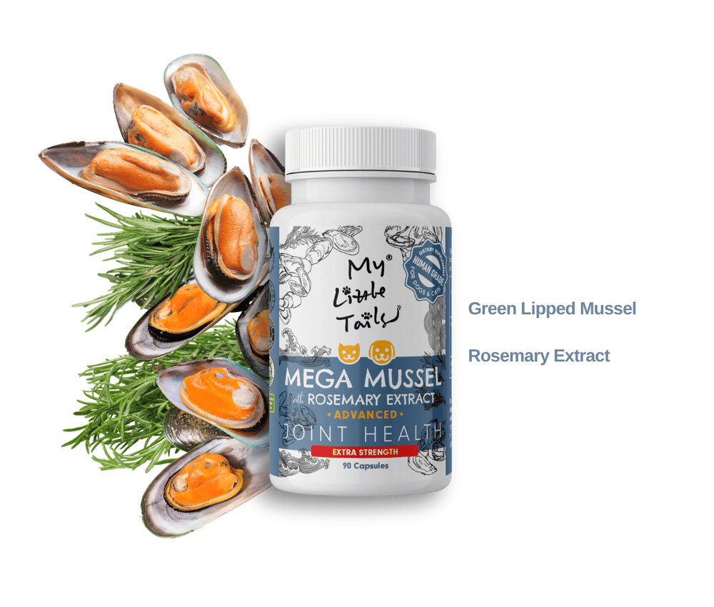NZ Green Lipped Mussel for Dogs & Cats | Hip and Joint Supplements| HUMAN GRADE