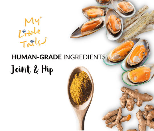 NZ Green Lipped Mussels for Dogs & Cats - Meal Topper Powder - Joint & Hip Health