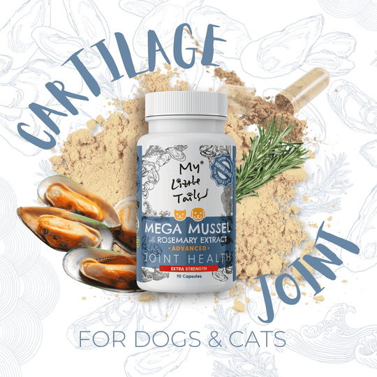 NZ Green Lipped Mussel for Dogs & Cats | Hip and Joint Supplements| HUMAN GRADE