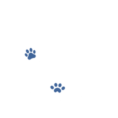 My Little Tails