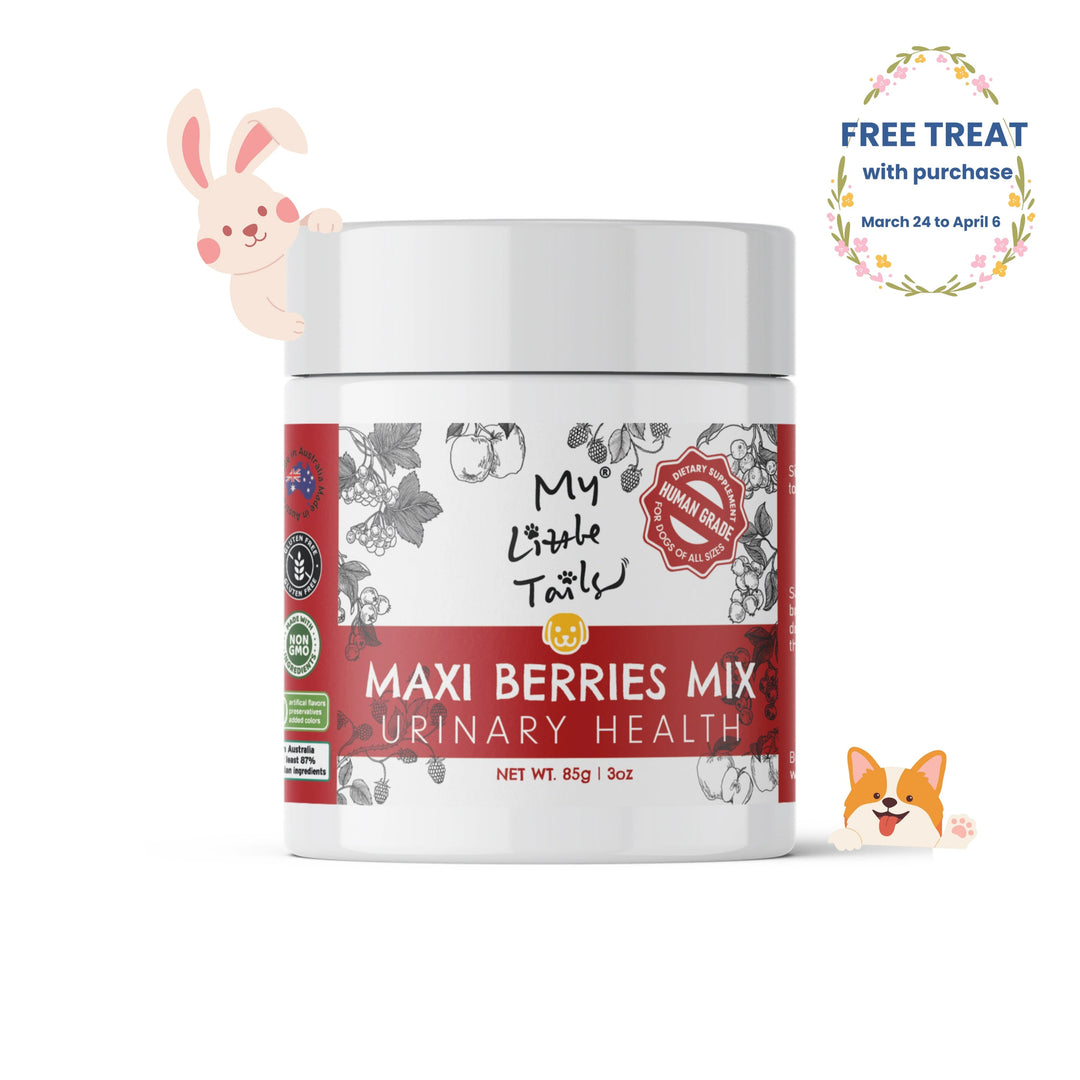 Pet food container labeled 'Maxi Berries Mix' with promotional text on a white background