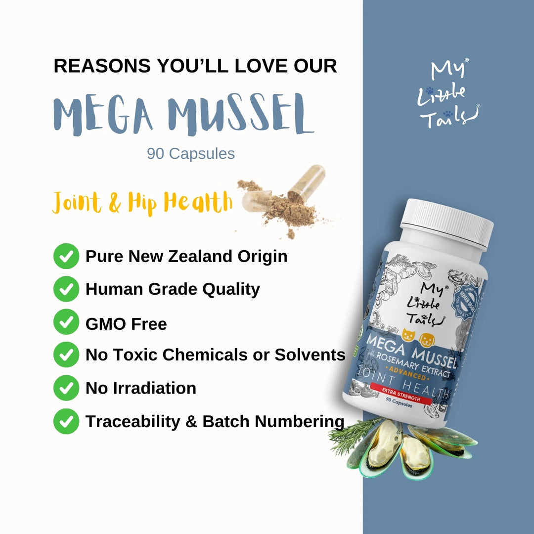 NZ Green Lipped Mussel for Dogs & Cats | Hip and Joint Supplements| HUMAN GRADE