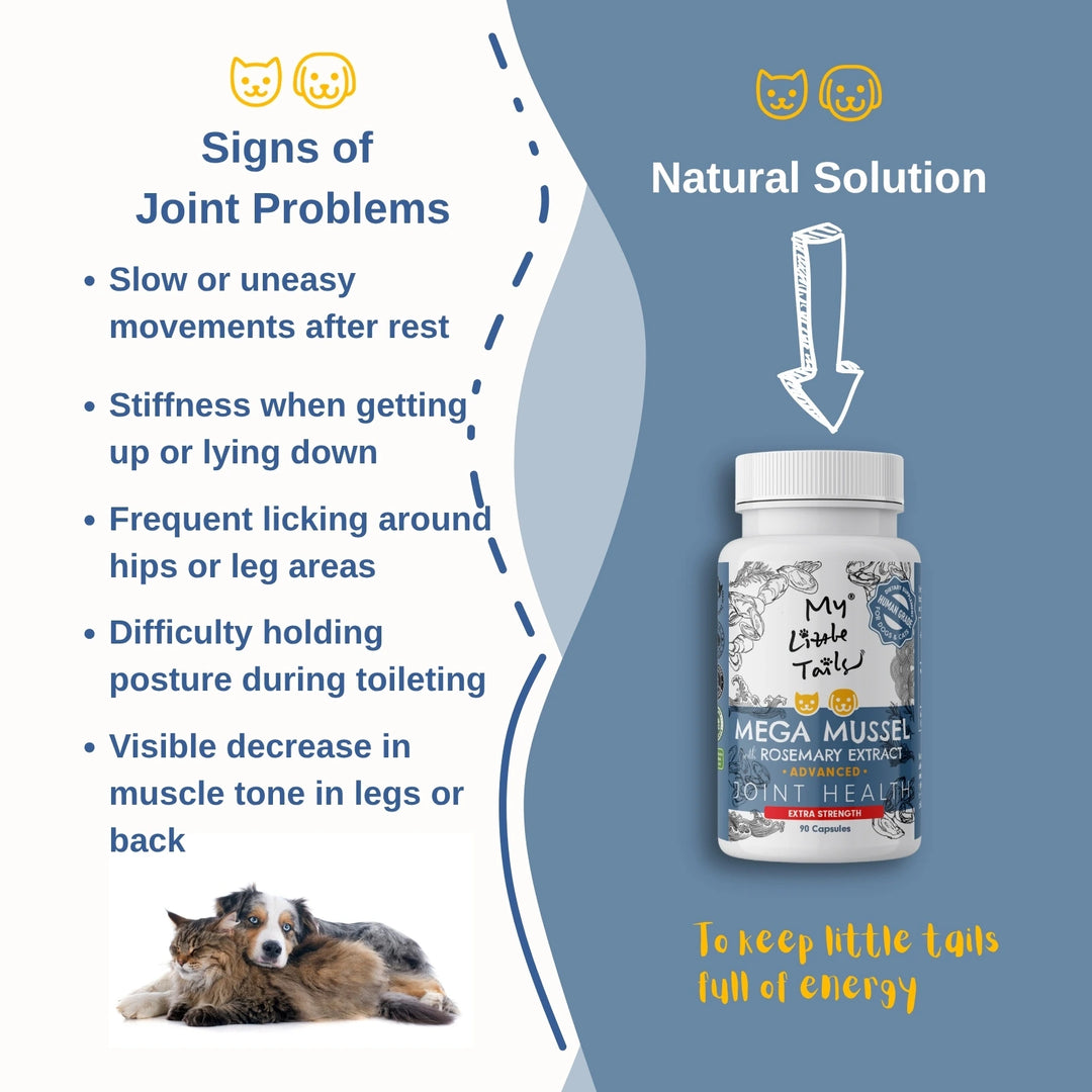 NZ Green Lipped Mussel for Dogs & Cats | Hip and Joint Supplements| HUMAN GRADE