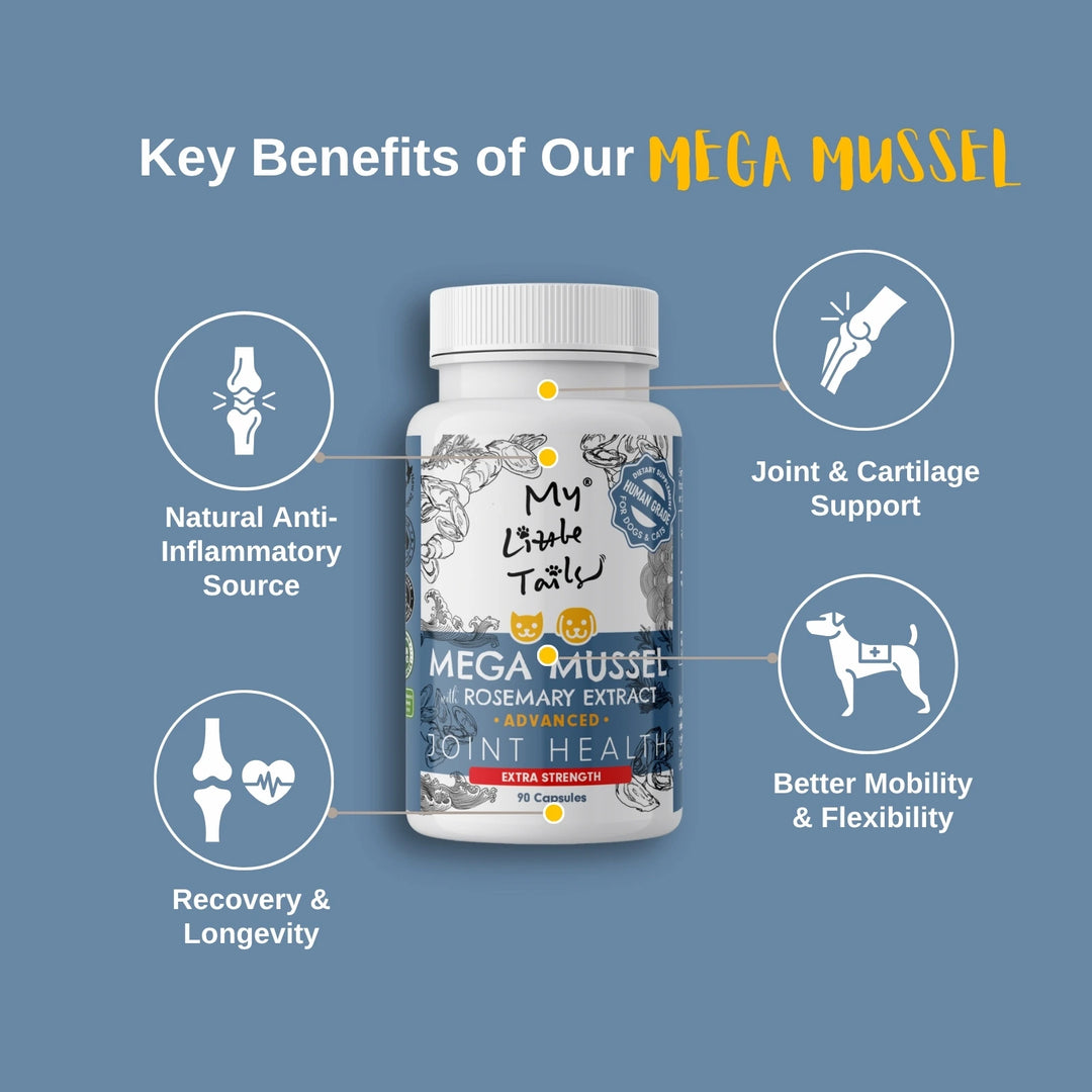 NZ Green Lipped Mussel for Dogs & Cats | Hip and Joint Supplements| HUMAN GRADE