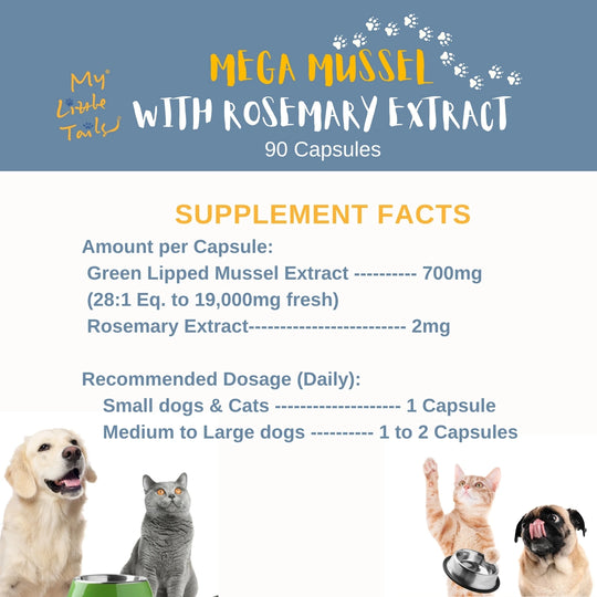 NZ Green Lipped Mussel for Dogs & Cats | Hip and Joint Supplements| HUMAN GRADE