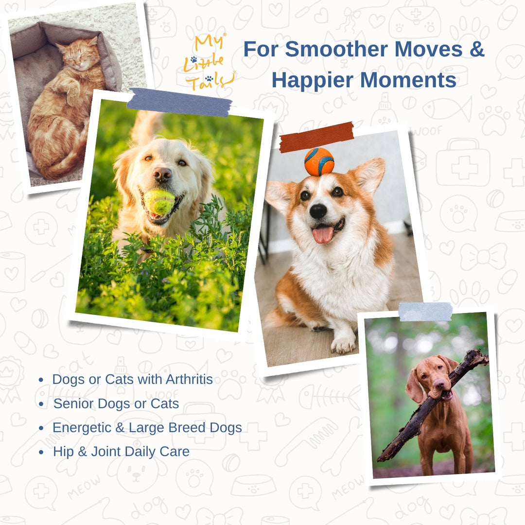 NZ Green Lipped Mussel for Dogs & Cats | Hip and Joint Supplements| HUMAN GRADE