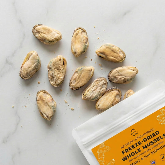 Freeze-Dried Treats Bundle for Dogs &amp; Cats | Sardine Pieces + Whole Green Lipped Mussels