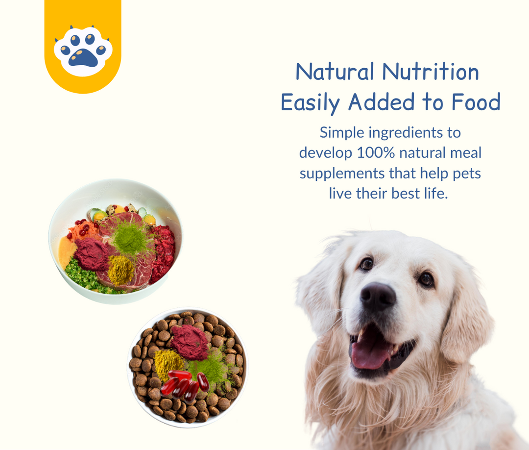 Freeze-Dried Berries for Dogs - Meal Topper - Urinary & Eye Health