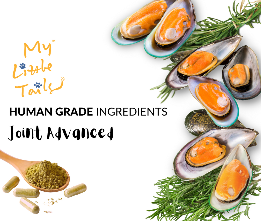 NZ Green Lipped Mussel for Dogs and Cats - Joint and Cartilage Health with HUMAN GRADE