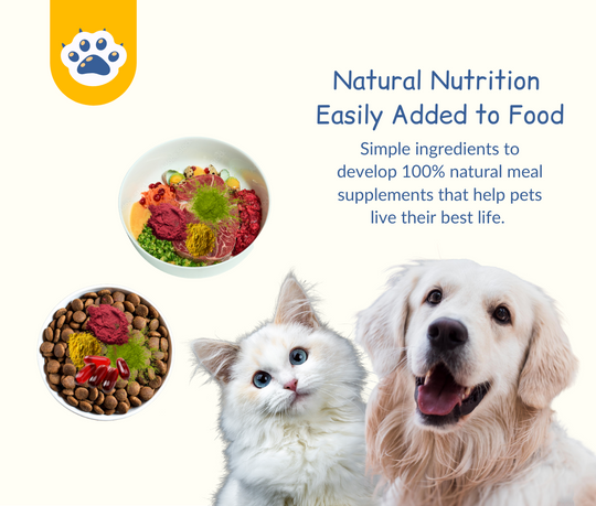 Easily-added-natural-nutrition-for-dogs-and-cats