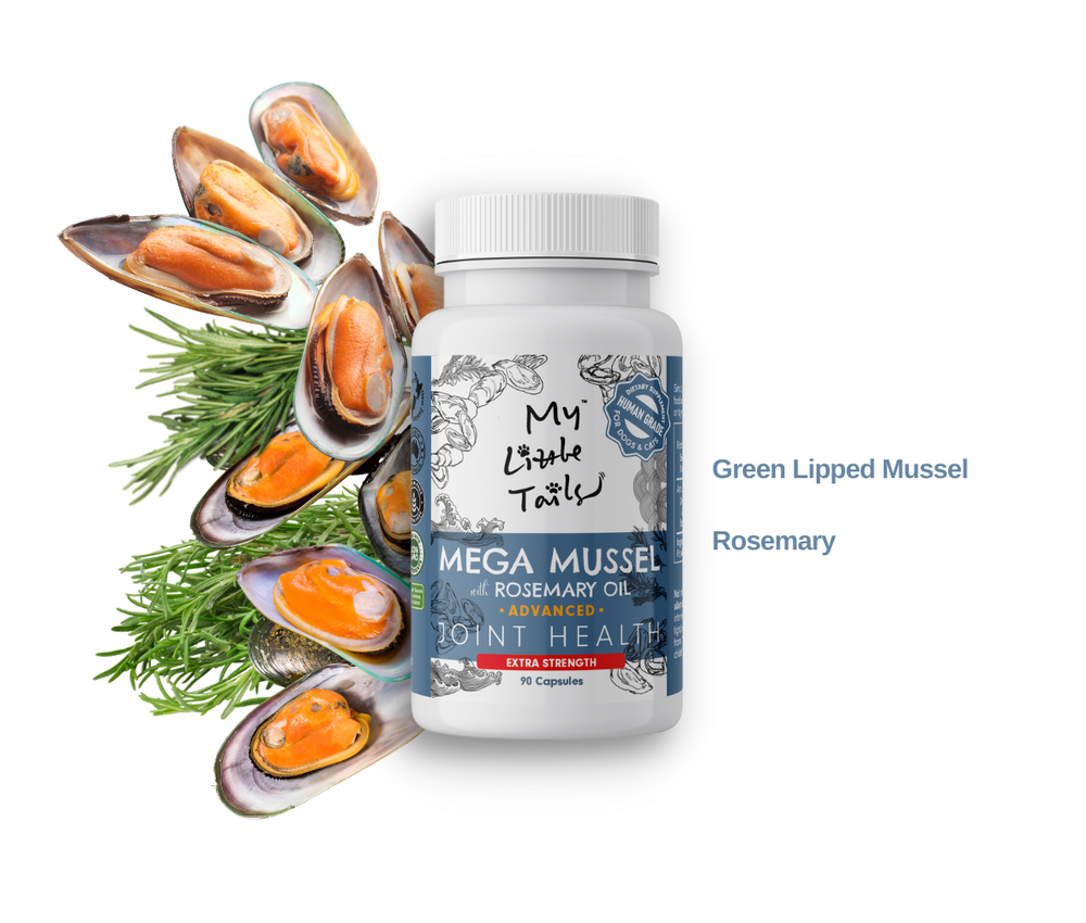 NZ Green Lipped Mussel for Dogs and Cats - Joint and Cartilage Health with HUMAN GRADE