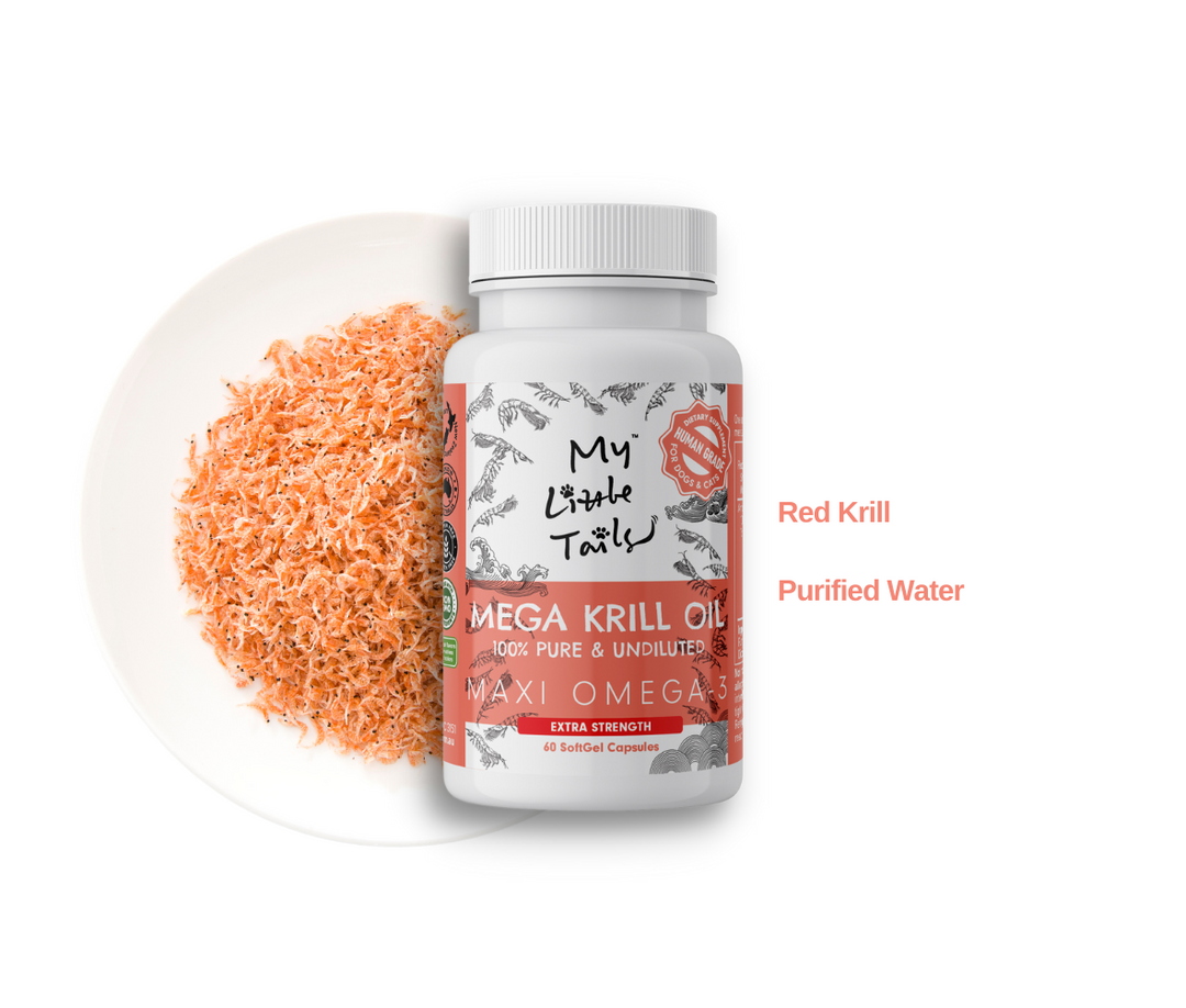 Krill Oil for Dogs & Cats - Maxi Omega 3 SoftGel with HUMAN GRADE